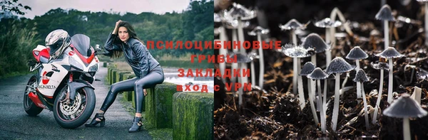 mix Абаза