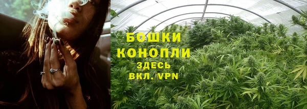 ПСИЛОЦИБИНОВЫЕ ГРИБЫ Абдулино