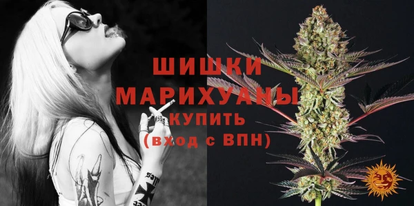 прущие грибы Хадыженск