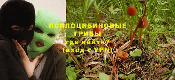 ПСИЛОЦИБИНОВЫЕ ГРИБЫ Абдулино